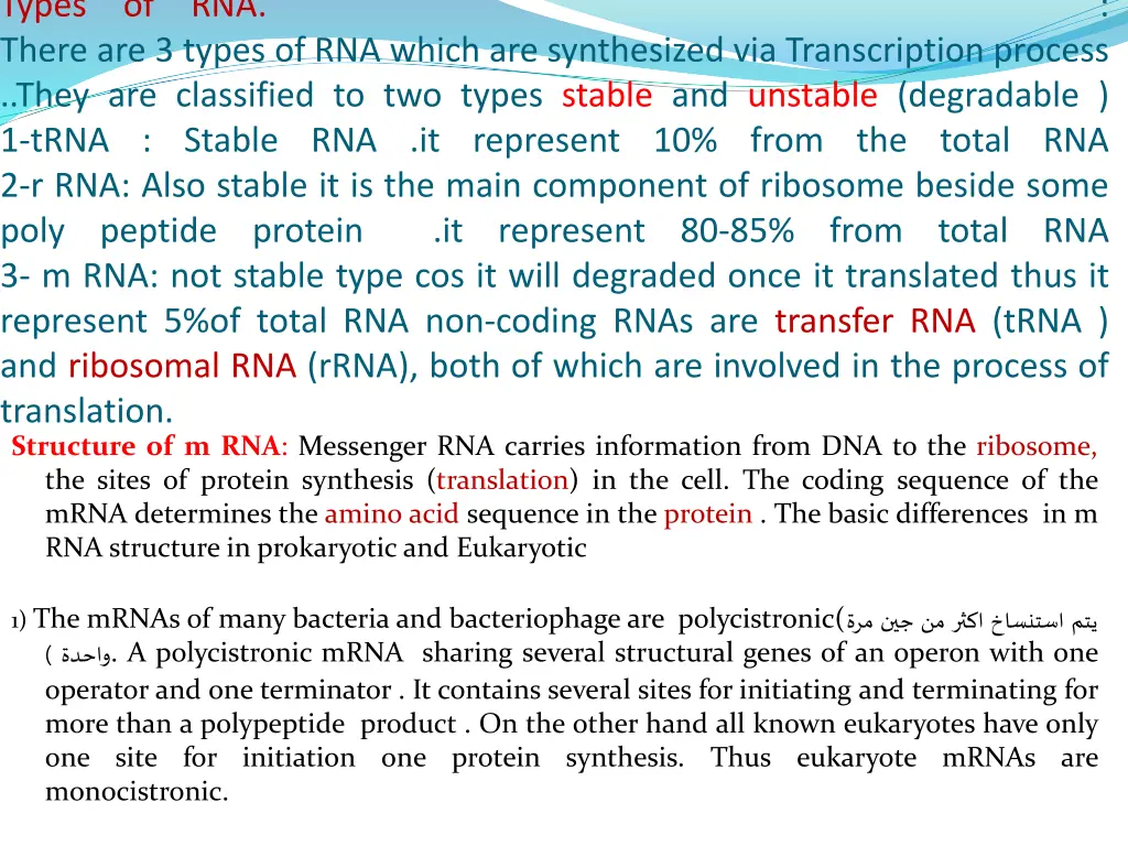 types there are 3 types of rna which