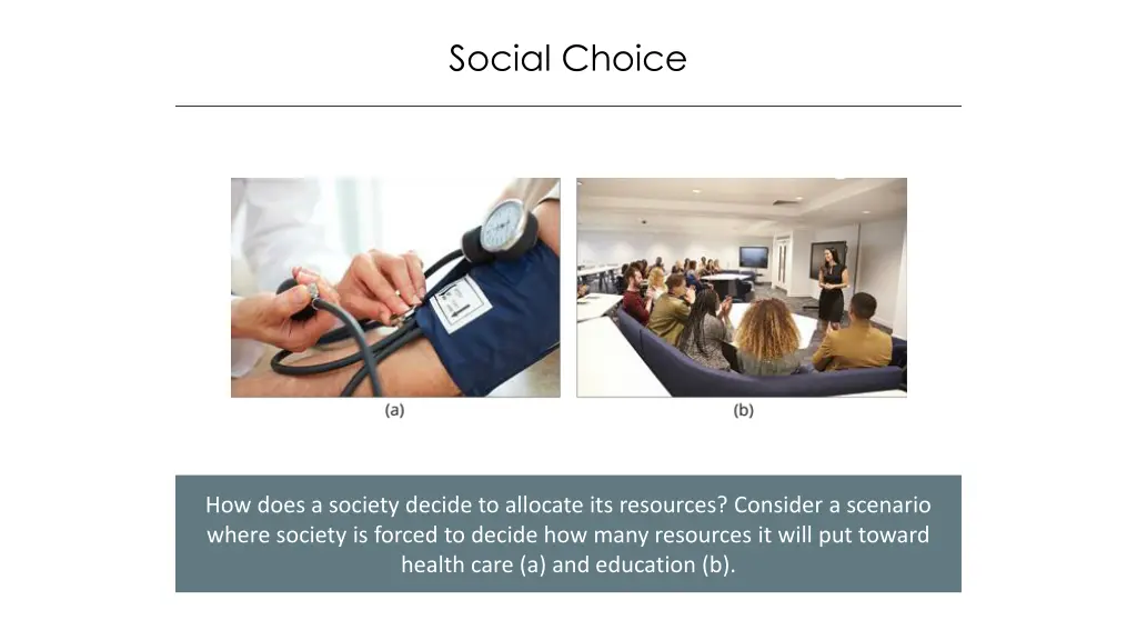 social choice