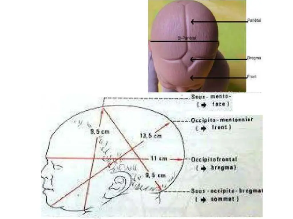 slide4