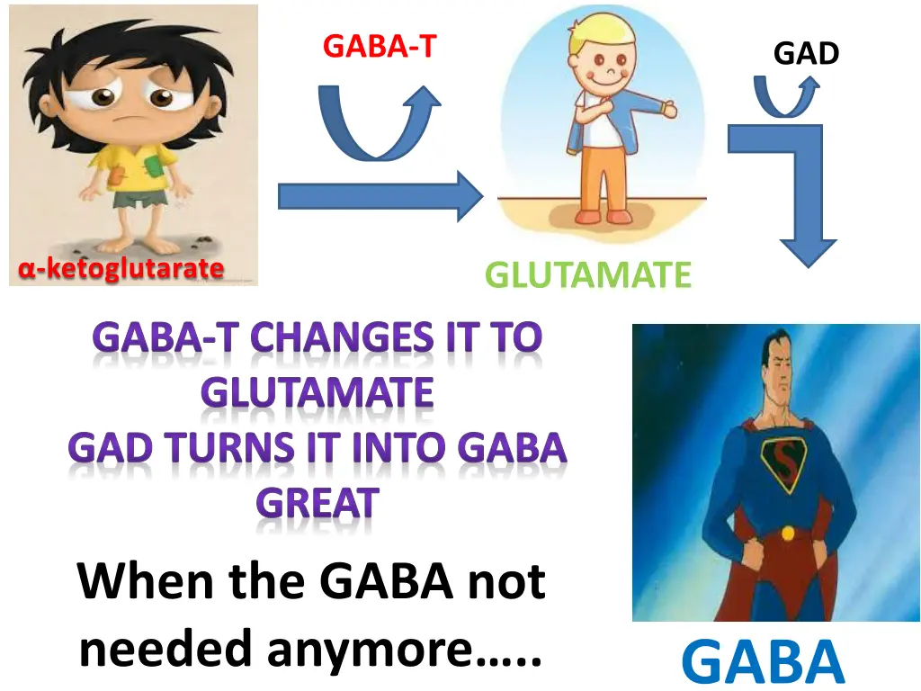 gaba t