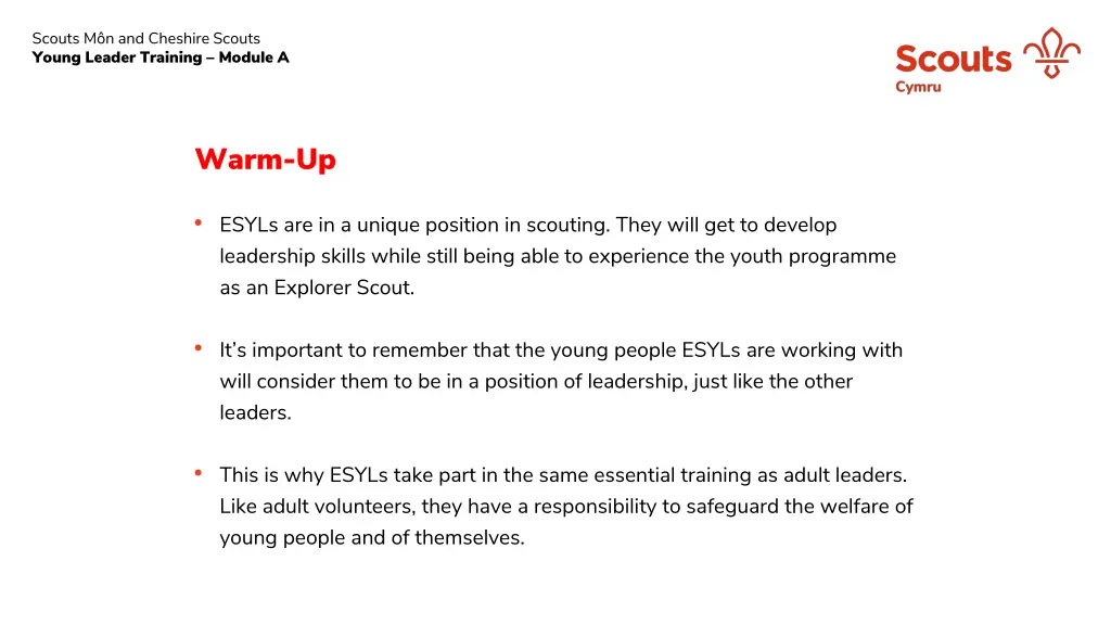 scouts m n and cheshire scouts young leader 4