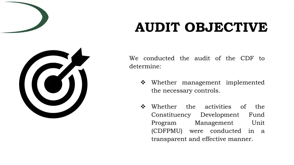 audit objective