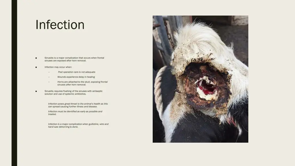 infection