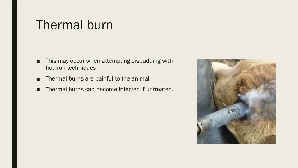 thermal burn