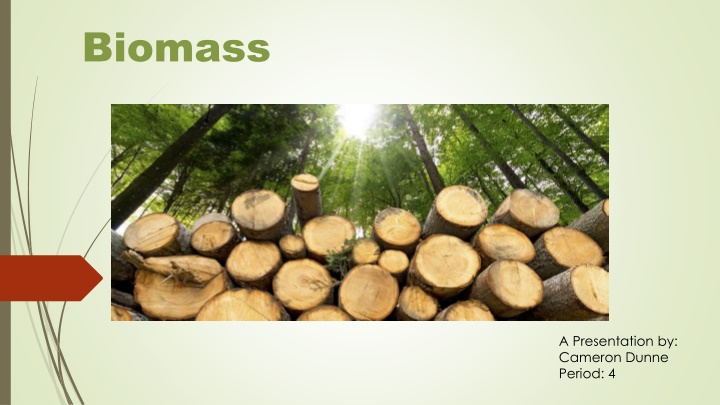 biomass