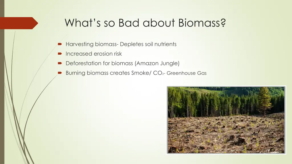 what s so bad about biomass