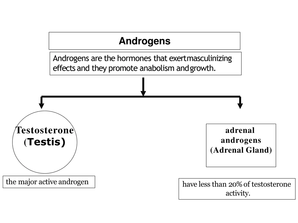 androgens