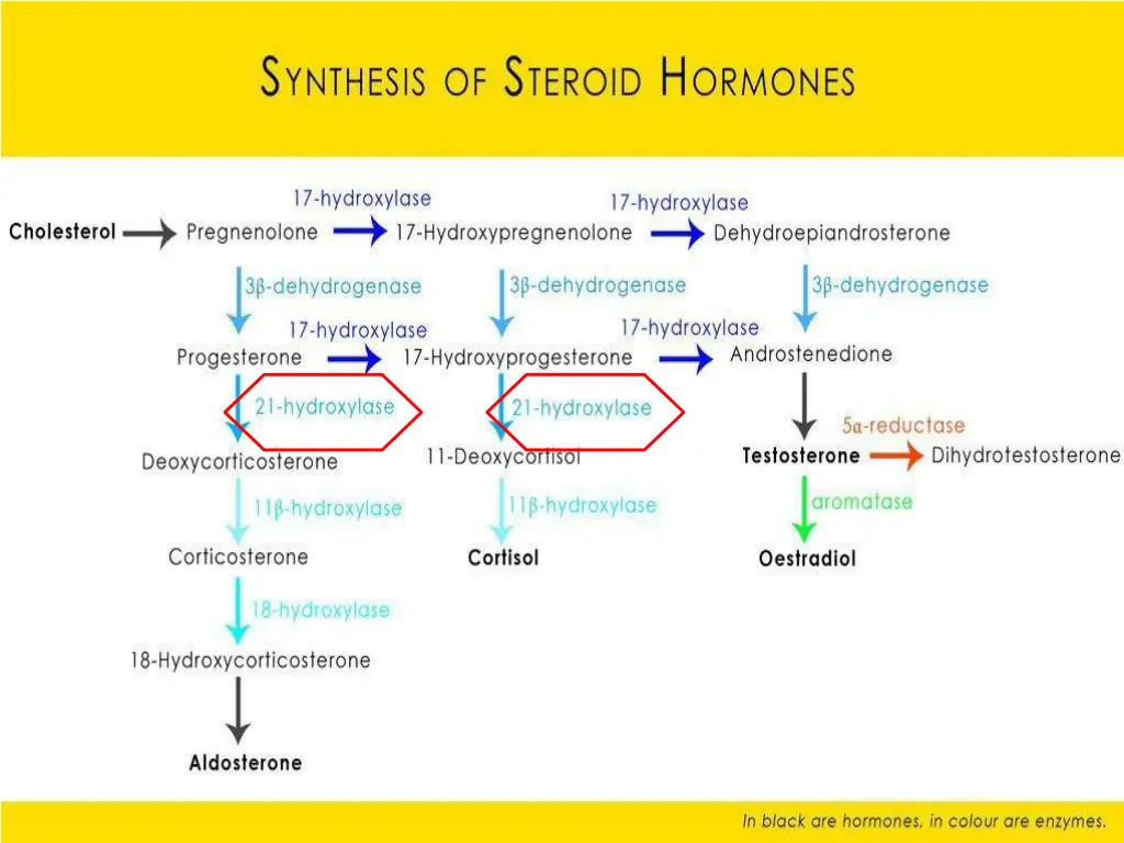 slide10