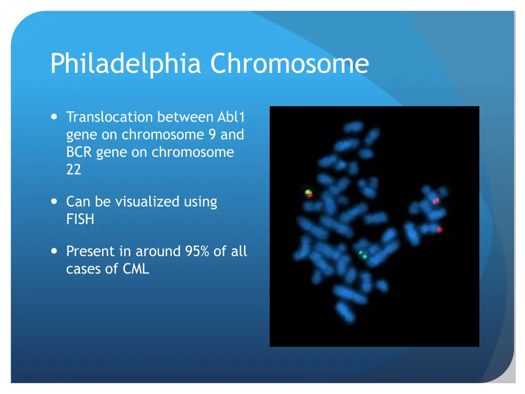 philadelphia chromosome