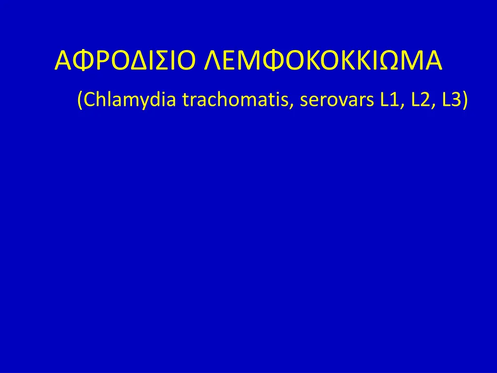 slide24