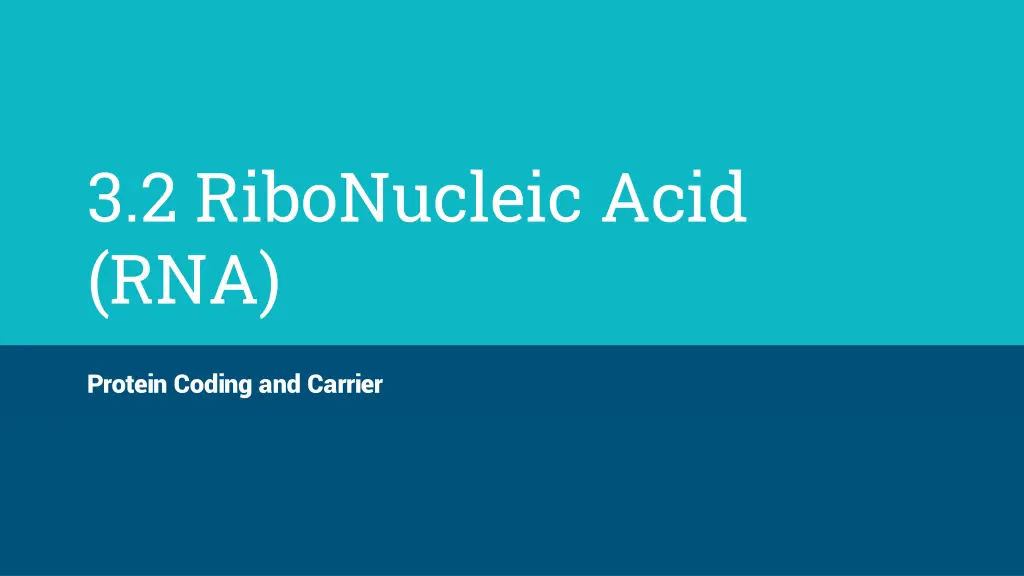 3 2 ribonucleic acid rna