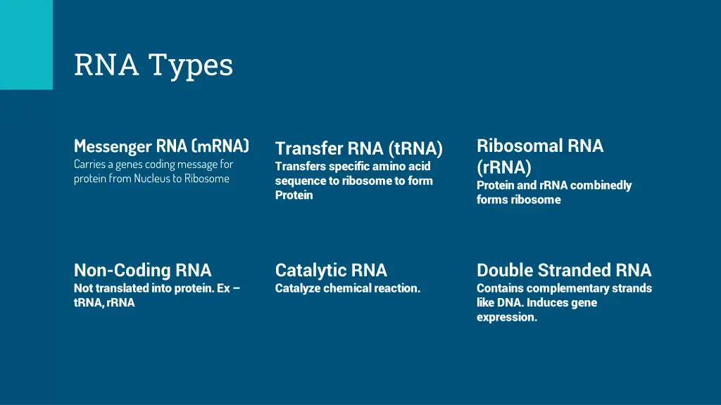 rna types