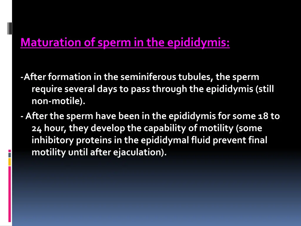 maturation of sperm in the epididymis