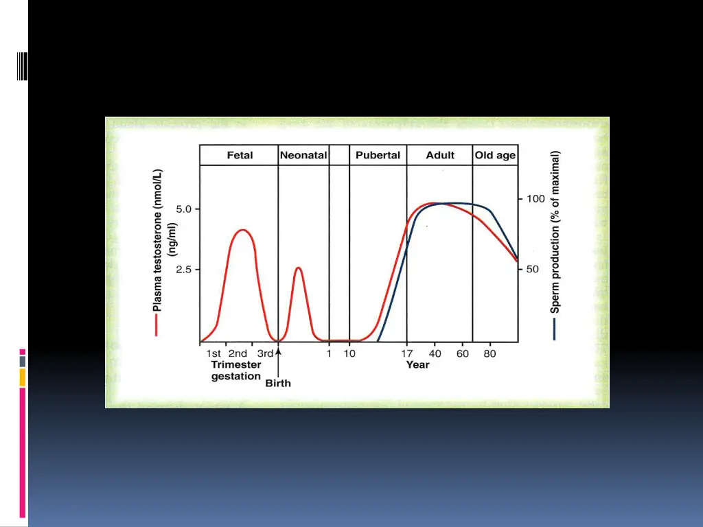 slide17