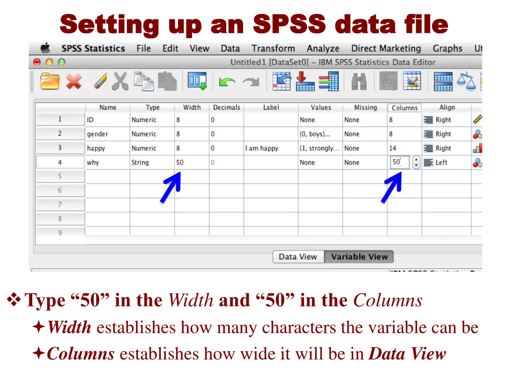setting up an spss data file setting up an spss 13