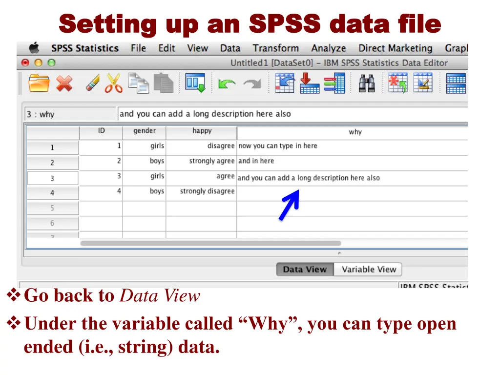 setting up an spss data file setting up an spss 14