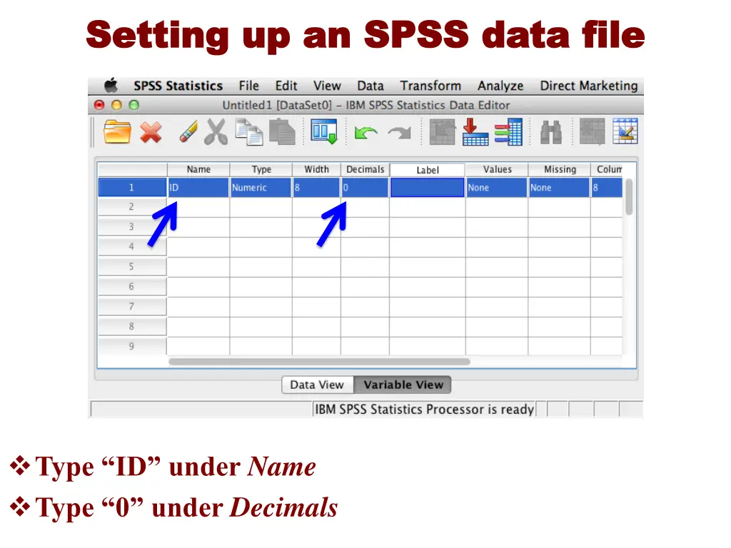 setting up an spss data file setting up an spss 2