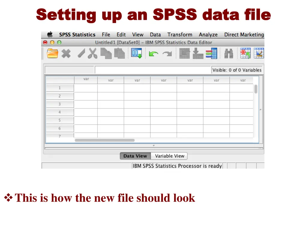 setting up an spss data file setting up an spss