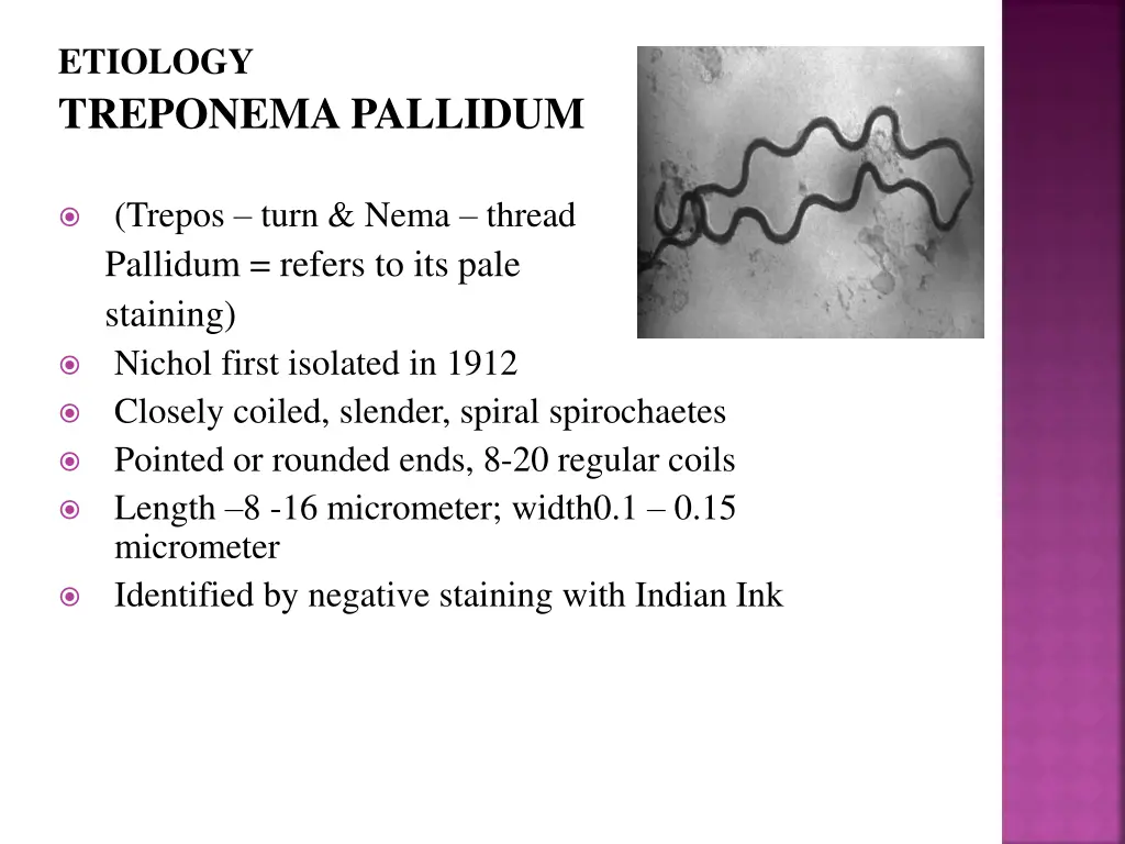 etiology treponema pallidum