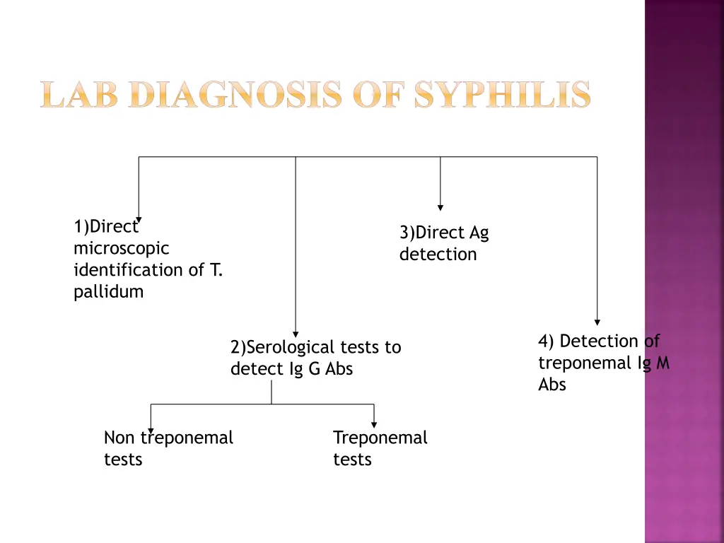 lab diagnosis of syphilis