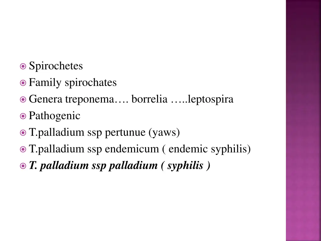 spirochetes family spirochates genera treponema