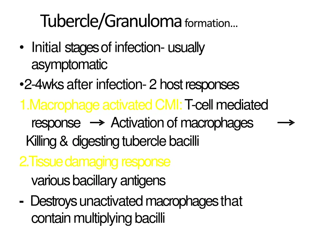 tubercle granuloma formation initial stages