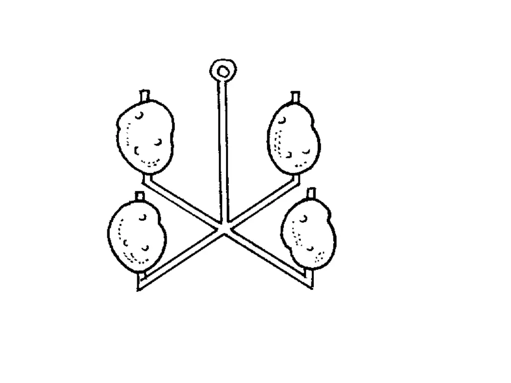 slide11