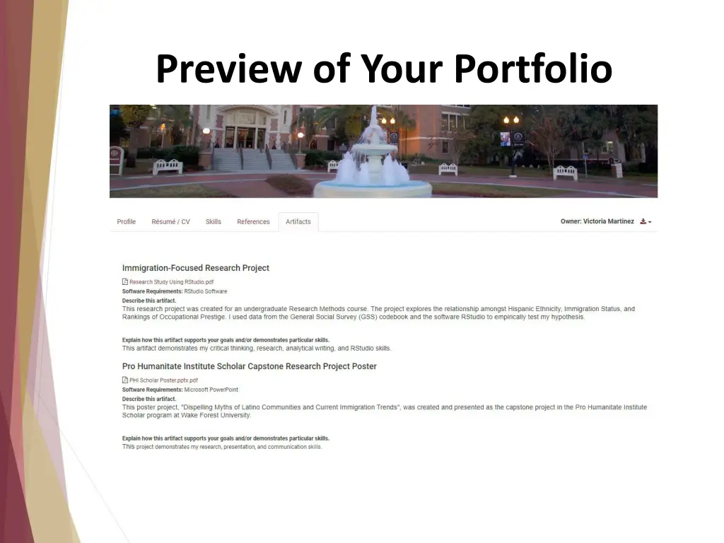 preview of your portfolio