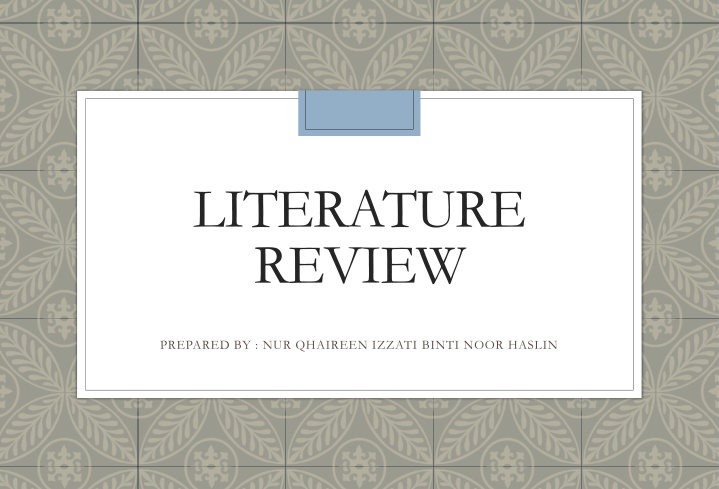 literature review