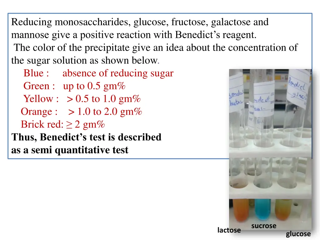 reducing monosaccharides glucose fructose