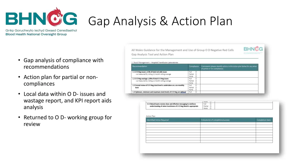 gap analysis action plan