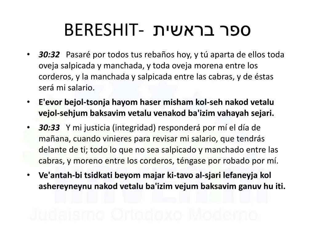 bereshit 11