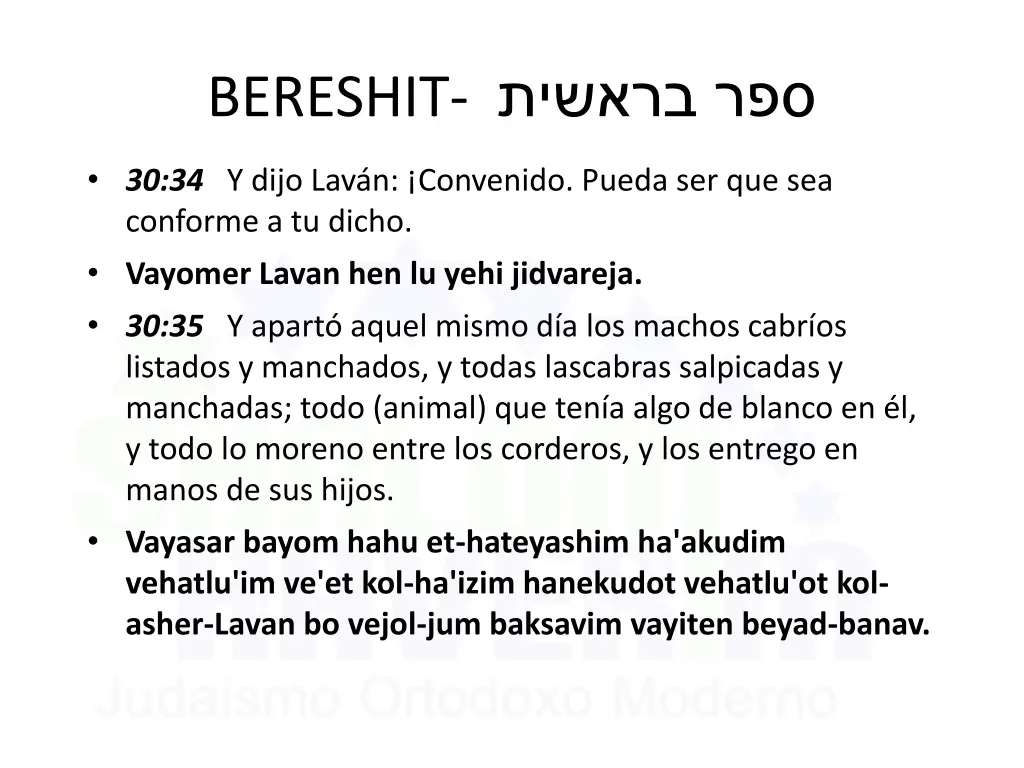 bereshit 13