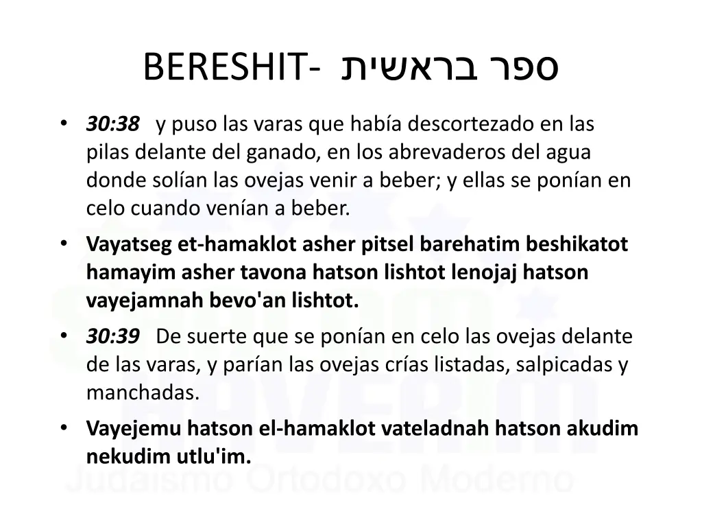 bereshit 16