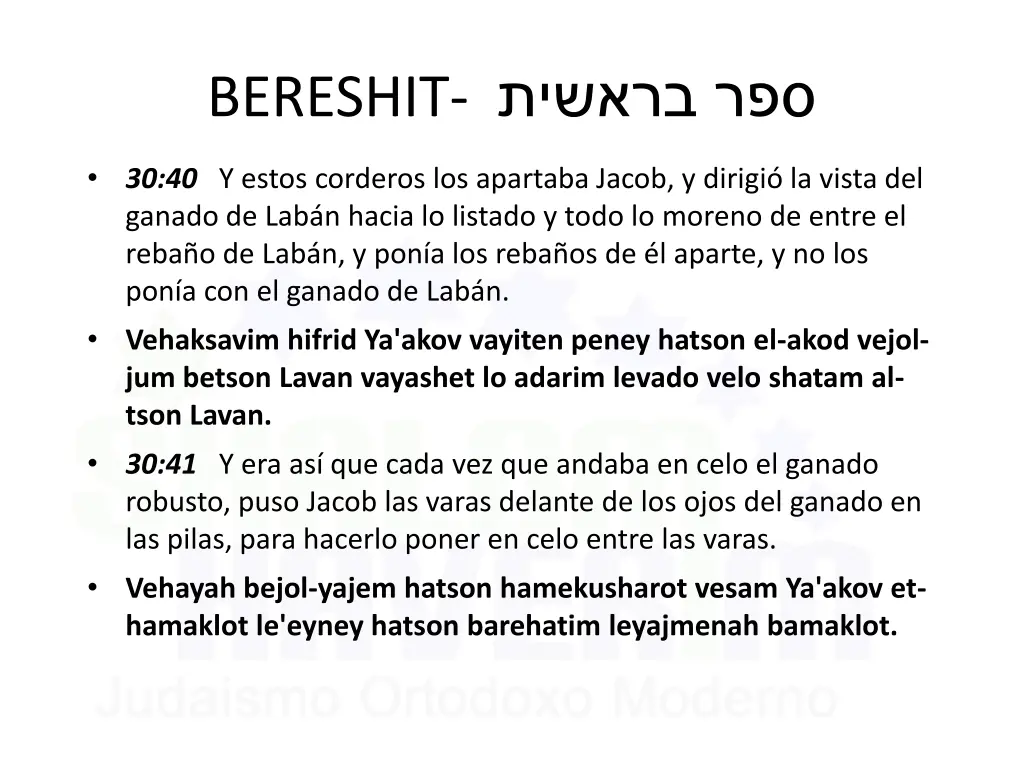 bereshit 19