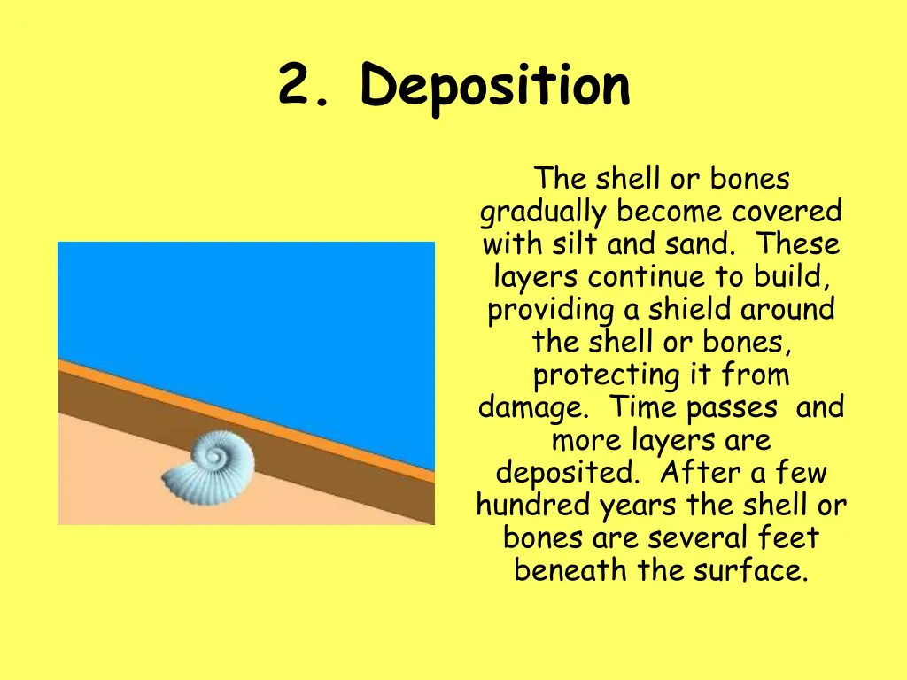 2 deposition