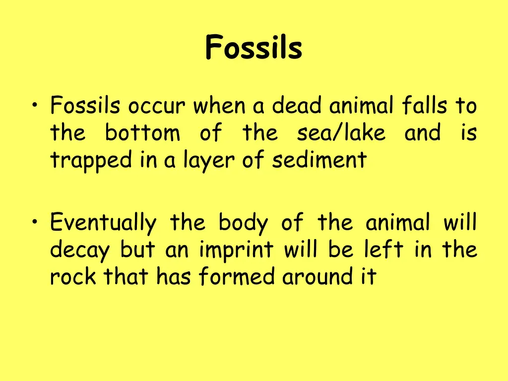 fossils 1