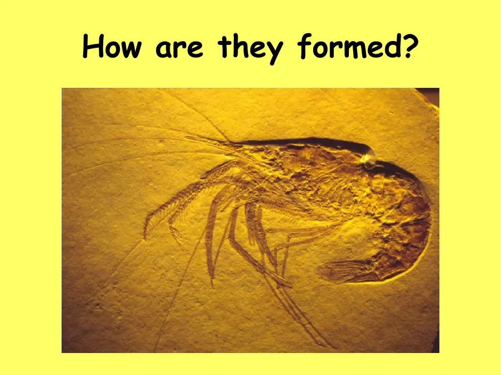 how are they formed