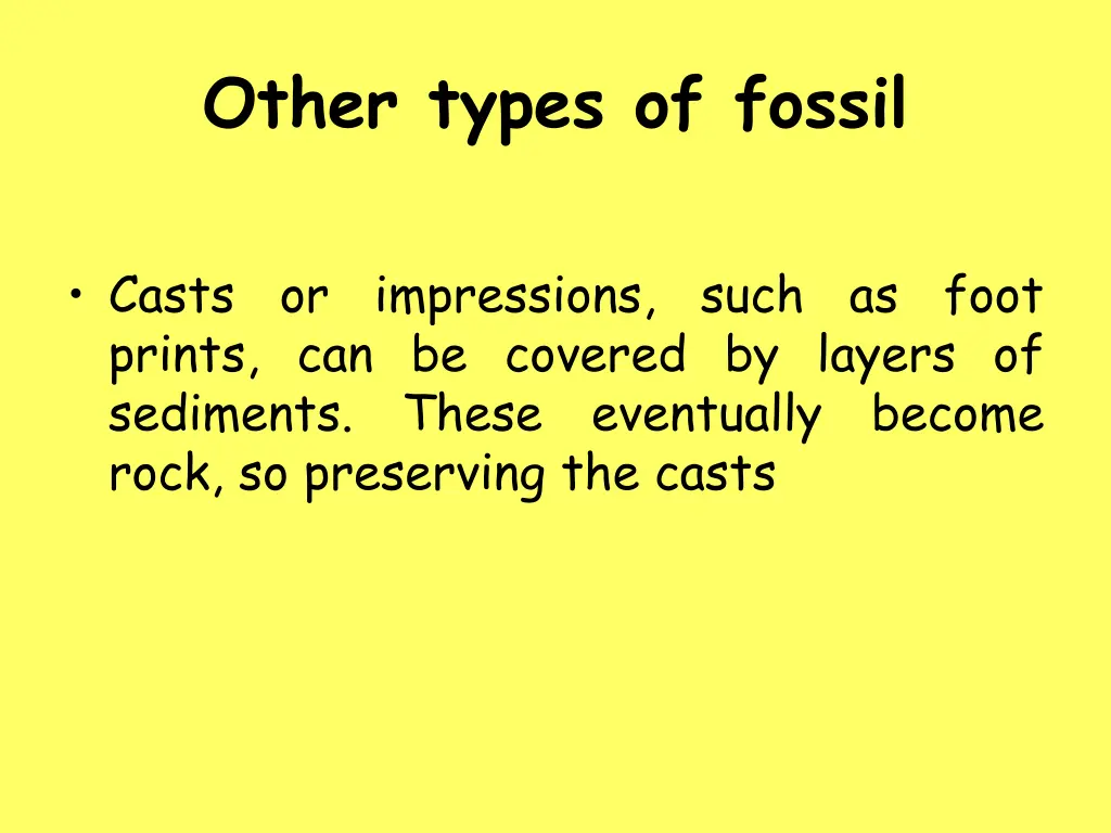 other types of fossil