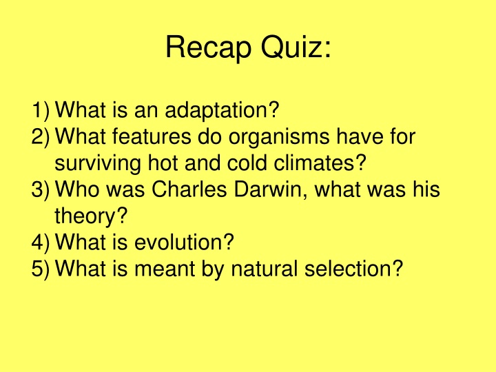 recap quiz