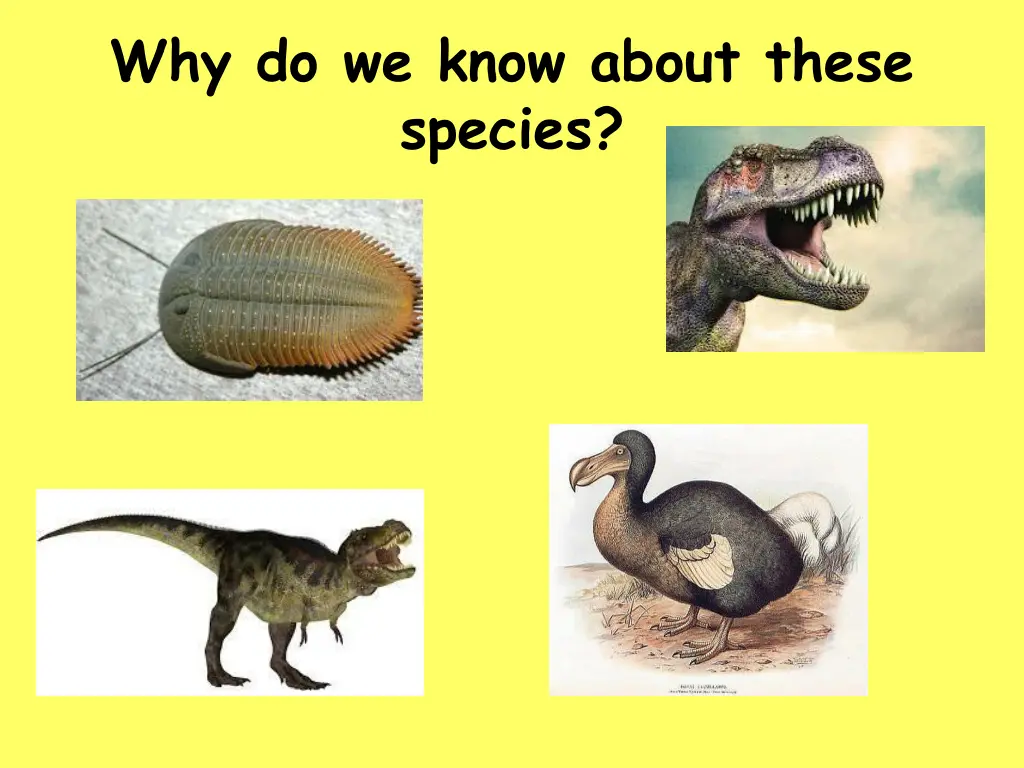 why do we know about these species