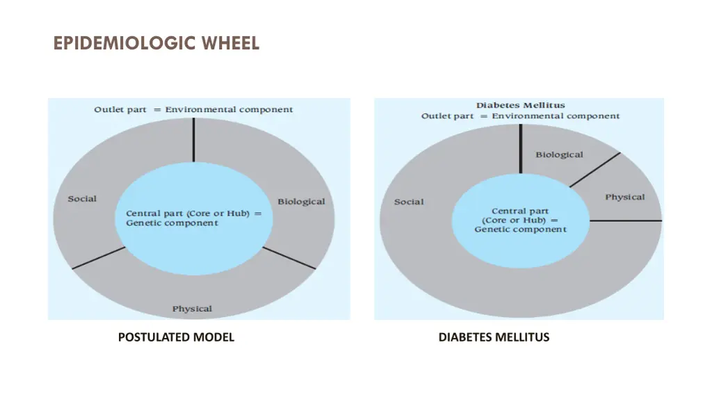 epidemiologic wheel 1