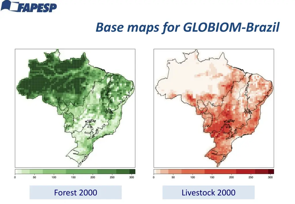 base maps for globiom brazil