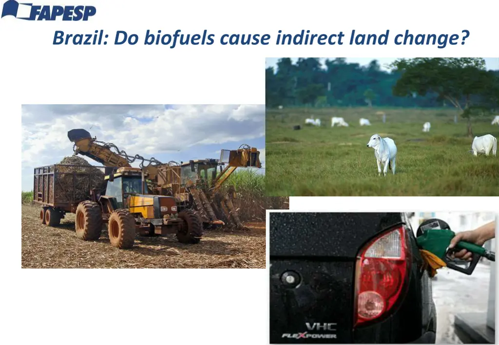 brazil do biofuels cause indirect land change