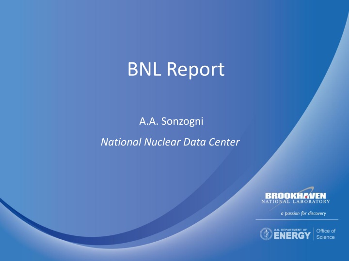 bnl report