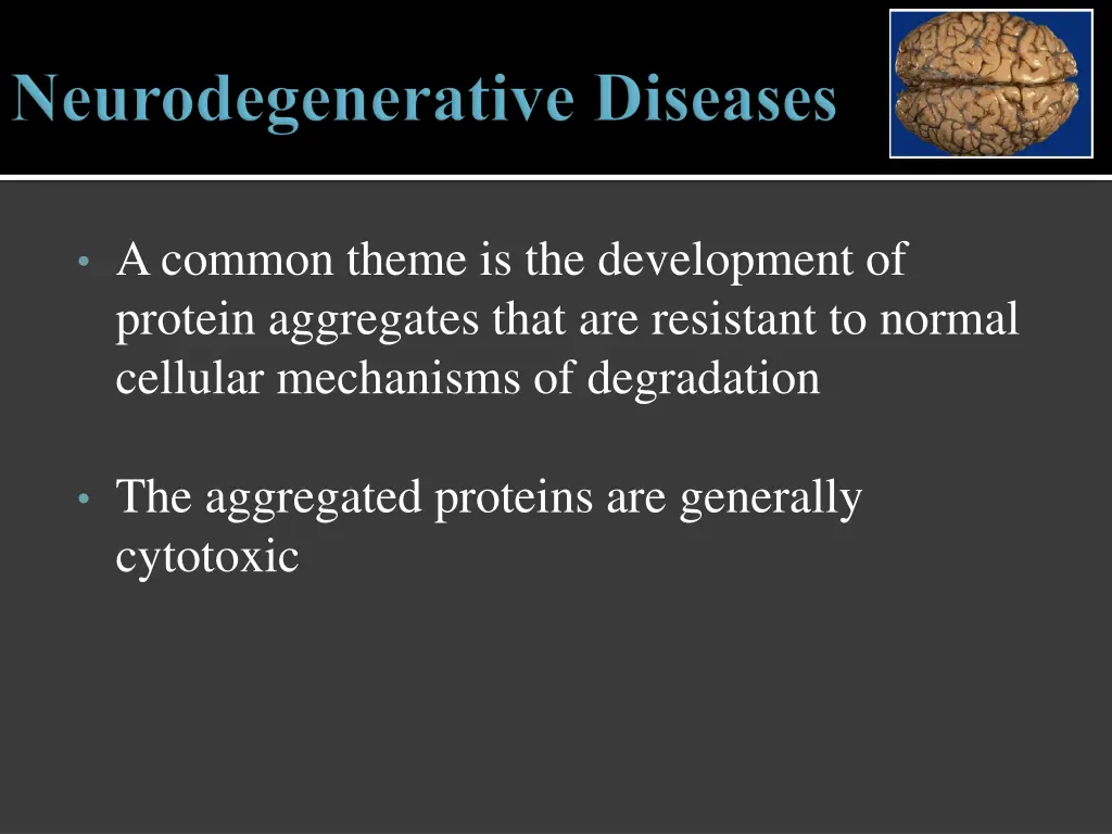 a common theme is the development of protein