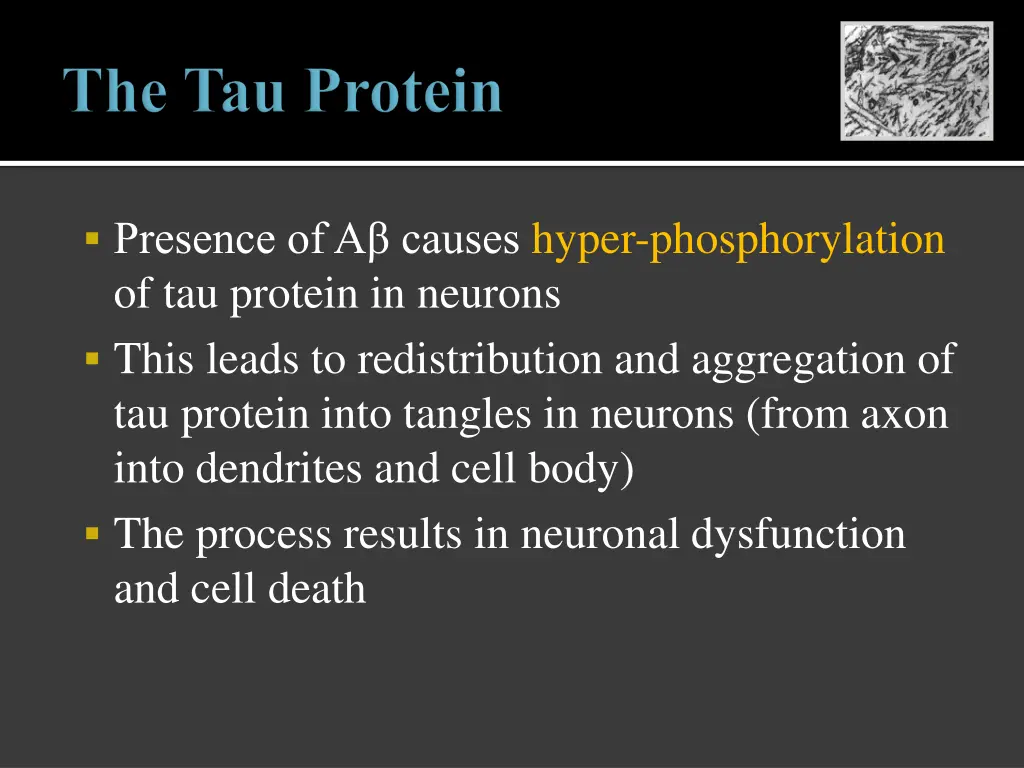 presence of a causes hyper phosphorylation