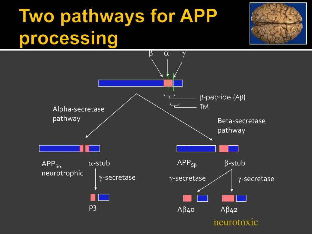 slide16