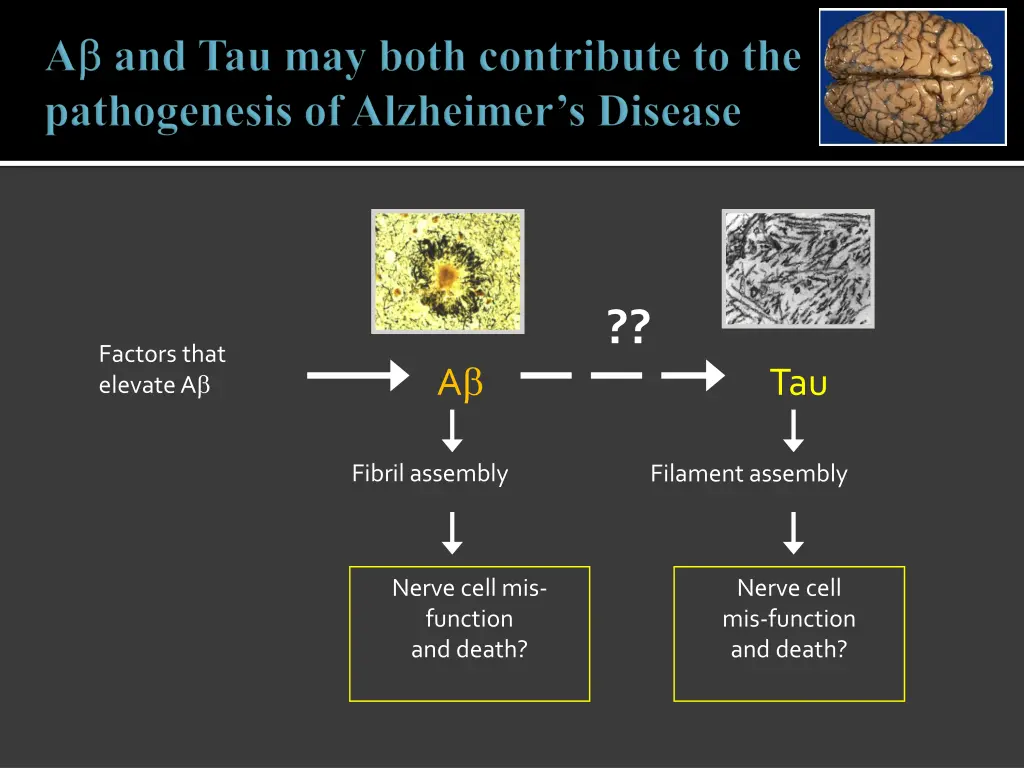 slide22