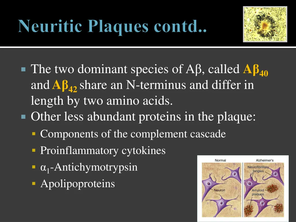 the two dominant species of a called
